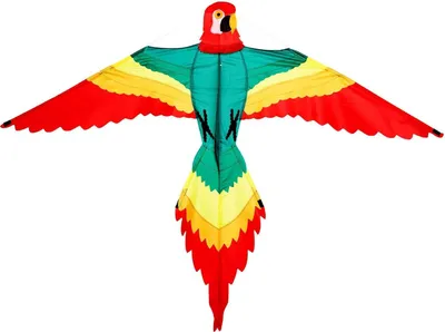 Produktbild von Wolkenstürmer Kinderdrachen Pablo Papagei (bunt), Einleinerdrachen - flugfertig inkl. Schnur
