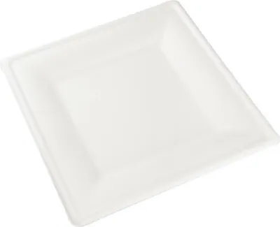 Immagine prodotto di Piatto quadrato in canna da zucchero 26 x 26 cm - 50 pezzi