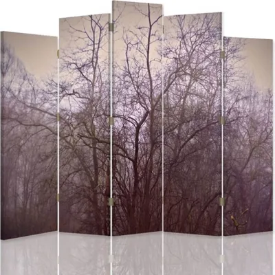 Produktbild von Paravent - Raumteiler Forest Dusk - Dekorativer Raumtrenner cm. 180x170 (5 x)