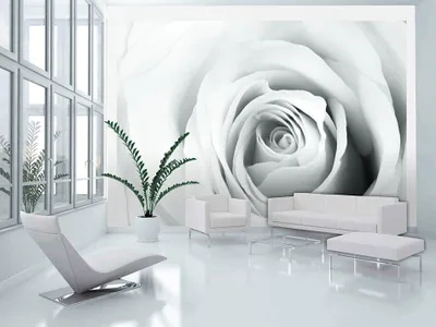 Produktbild von Vlies Fototapete 350x256 cm Tapeten Wandtapete XXL Rose Blumen b-B-0035-a-d