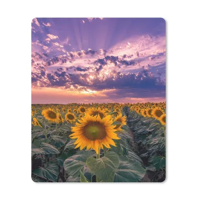 Produktbild von MuchoWow® Mauspad Mousepad Blumen - Himmel - Lila - Sonnenuntergang 19x23 cm - Mousepads - Maus Mat - Pad - Mausunterlage - Mauspads - Spielen
