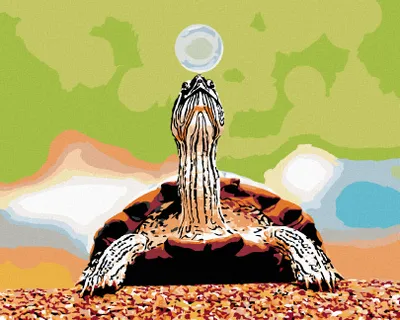 Image de Zuty - Peinture par numéros - TORTUE AVEC BULLE, 40 x 50 cm, sans cadre et sans toile tendue
