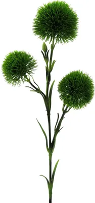 Produktbild von Kunstpflanze DIANTHUS (Bartnelken) mit 3 Nelken-Trieben. Ca. 62cm GRÜN