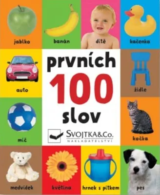 Obrázek produktu pro Prvních 100 slov