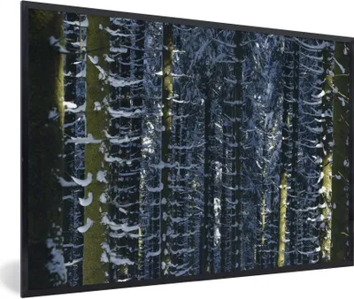Produktbild von MuchoWow® Gerahmtes Poster Schöne Winterkoniferen in den Ardennen 30x20 cm - Poster mit Schwarzem Bilderrahmen Wandposter Rahmen Foto Bilder - Kunstdruck - Bild-Poster