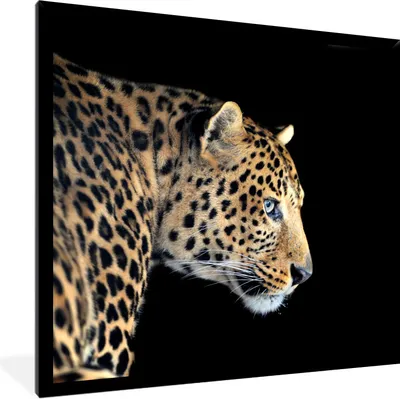 Produktbild von MuchoWow® Gerahmtes Poster Leopard - Tiere - Schwarz 40x40 cm - Poster mit Schwarzem Bilderrahmen Wandposter Rahmen Foto Bilder - Mit Rahmen - Wanddekoration Schlafzimmer