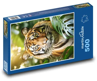 Zdjęcie produktu dla Puzzle 500 Tygrys w tropikalnej dżungli - martinpuzzle