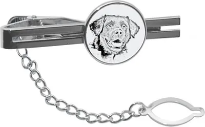 Produktbild von Art-Dog Krawattenklammer Stabyhoun