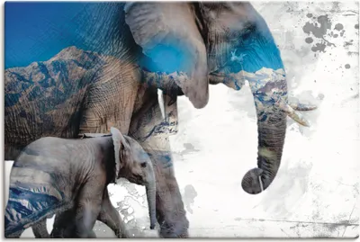 Produktbild von ARTland Leinwandbild Schöner Elefant in der Natur Größe: 60x40 cm