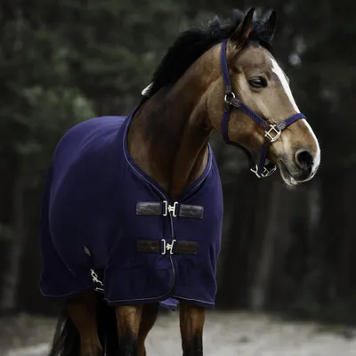 Produktbild von Kentucky Horsewear Cooler Fleece Rug Abschwitzdecke