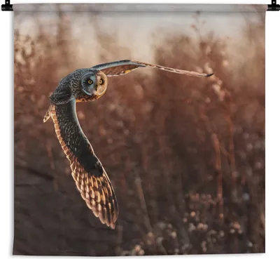Produktbild von MuchoWow® Wandteppich Wandbehang Vogel - Eule - Sonnenuntergang - Natur 150x150 cm Tapisserie Dekoration Wandtuch - Wohnaccessoires - Modernes