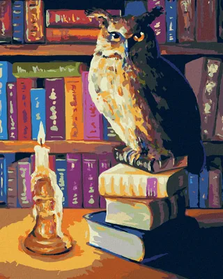 Produktbild von Zuty - Malen nach Zahlen - EULE IN DER BIBLIOTHEK, 40x50 cm, mit Keilrahmen (bereits gespannt)