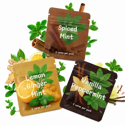Aroma-Sticks 3er-Pack Vanille, Zimt, Minze für Halskette