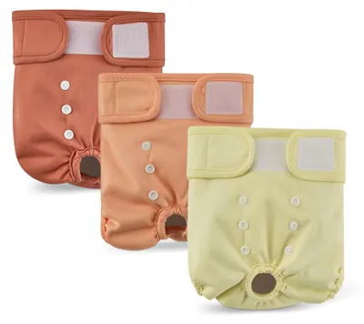 Image de A. Couches lavables pour chiennes, taille M, 3 pièces