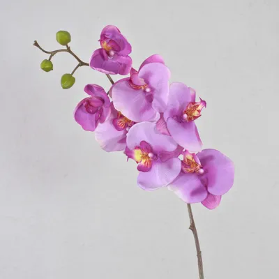 Produktbild von artplants.de Kunstzweig Phalaenopsis Orchidee Ricky, rosa, 105cm - Kunst Orchidee - Orchideenzweig künstlich