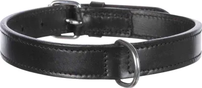 Obrázok produktu pre Obojok Active 36–43 cm/18 mm čierny