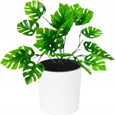 Produktbild von Kunststoff Blumentopf weiß 19x19,5cm dekorativ mit Einsatz Malwa