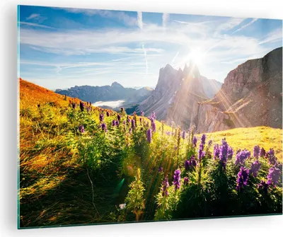 Produktbild von Bilder auf glas - Berge Wiese Blumen - 70x50cm - Glasbilder - Wandbilder - Kunstdruck - zum Aufhängen bereit - Wanddekoration aus Glas - Glas Bilder - Wandbild auf Glas - Einteilig - GAA70x50-4008