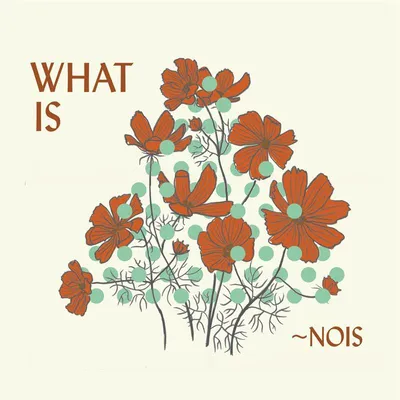 Immagine prodotto di Cos'è ~nois?