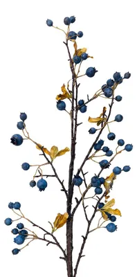 Immagine prodotto di Clayre & Eef, fiore artificiale, colore nero, materiale: plastica