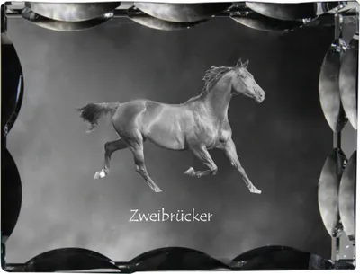 Zdjęcie produktu dla Art-Dog Ramka na zdjęcie – Zweibrücker