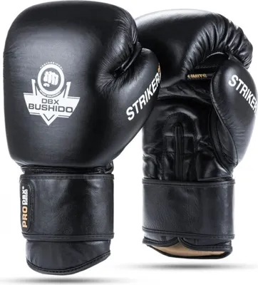Obrázek produktu pro Boxerské rukavice DBX BUSHIDO Striker 14oz.