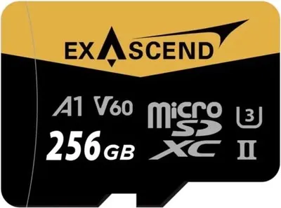 Immagine prodotto di Scheda Exascend Catalyst UHS-II V60 Micro da 256 GB