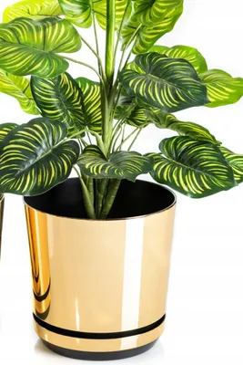 Produktbild von Kerd DEKOR 18 cm Hochglanz-Blumentopf mit Untersetzer Gold