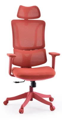Immagine prodotto di MyBuero Home Office sedia da ufficio Ergomy Colore sedia da scrivania con braccioli (regolabile in altezza) tessuto / rete sedia girevole