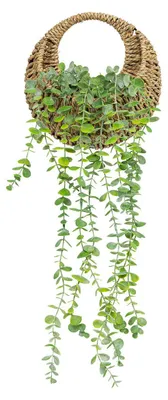 Immagine prodotto di Eucalipto artificiale in vaso intrecciato, 70 cm