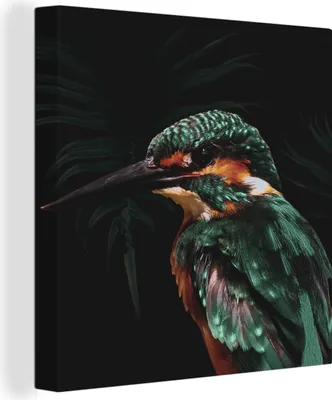 Obrázek produktu pro OneMillionCanvasses® - Obrazy na plátně - Rybák - Pták - Zelená, nástěnná malba, nástěnné dekorace obrazy obývací pokoj, 20x20cm