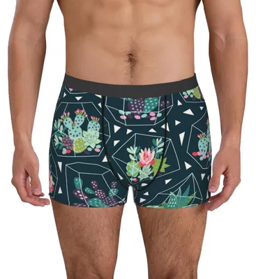 Productafbeelding van Boxershorts met Vetplantenprint voor Heren