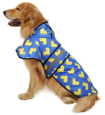 Immagine prodotto di Impermeabile per cani con cappuccio, adatto a cani di piccola e media taglia e cuccioli