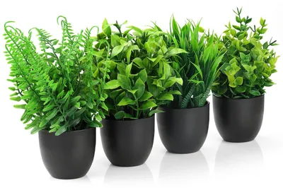 Productafbeelding van 4 kunstplanten, decoratieve planten, kleine potplanten in zwarte potten, geschikt voor slaapkamer, kantoor, woonkamer, balkon, badkamer
