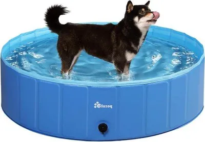 Produktbild von Famanu Faltbares Hundepool - Strapazierfähiges und Rutschfestes PVC - Blau 120 x 30 cm