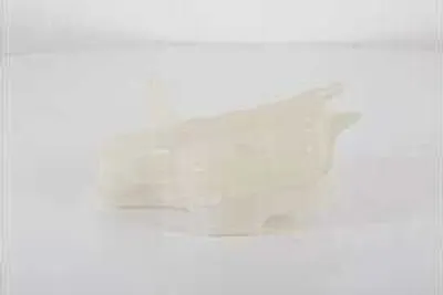 Produktbild von BSG Ausgleichsbehälter Kühlmittel Kühlwasser BSG 16-550-003