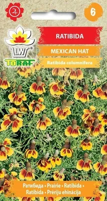 Zdjęcie produktu dla Ratibida MEXICAN HATNasiona kwiatów - 629 Toraf