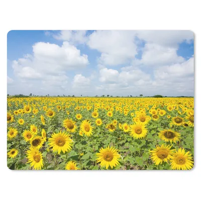Produktbild von MuchoWow® Mauspad Mousepad Sonnenblumen - Blumen - Wolken - Natur - Gelb - Landschaft 23x19 cm - Mousepads - Maus Mat - Pad - Mausunterlage - Schreibtischunterlage - Mauspad