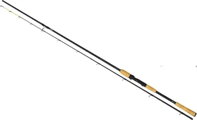 Image de Zebco Trophy Picker 2,55 m 10-60 g