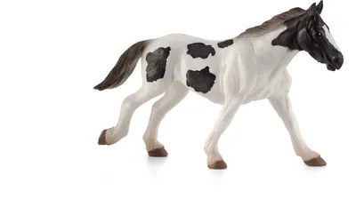 Immagine prodotto di Mojo 387219 Animal Planet Tinker yearling circa 15 x 3 x 8,5 cm