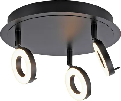 Obrázok produktu pre NEUHAUS Paul Neuhaus 6788-13 LED stropné svietidlo LED 19,2 W antracit