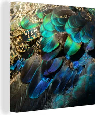 Produktbild von MuchoWow® - Leinwandbilder - Federn - Pfauenfedern - Pfau - Blau - Kunst, Wandbild, Wanddeko Bilder Wohnzimmer, 20x20 cm