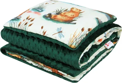 Produktbild von Babydecke 75x100 cm mit Kissen 30x35 cm – Kuscheldecke aus Minky und Baumwolle – Krabbeldecke für Kinderwagen, Babybett und Spielgruppe