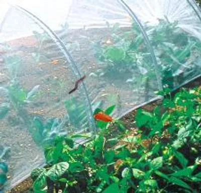 Produktbild von Climabio Insektennetz