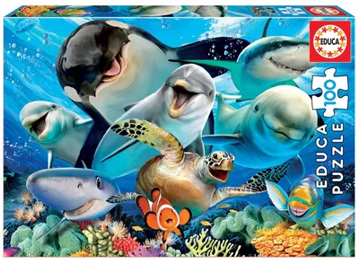 Image de Puzzle 100 Pièces Selfie Sous-marin 18062