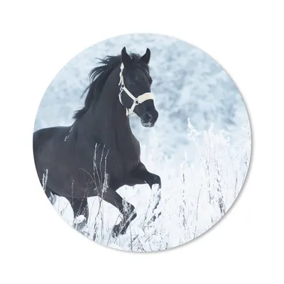 Produktbild von MuchoWow® Mauspad Mousepad Pferd - Schnee - Winter 20x20 cm - Mousepads - Maus Mat - Pad - Mausunterlage - Schreibtischmatte