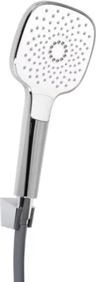 A hand shower with a hose and wall mount is shown against a white background.