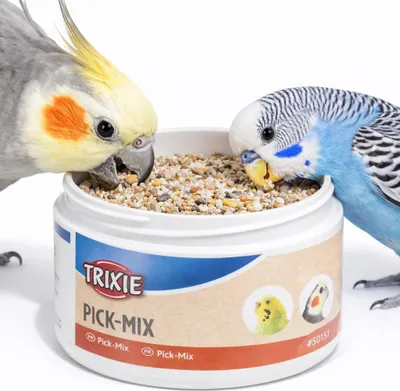Zdjęcie produktu dla Pick-Mix - karma uzupełniająca dla małych i średnich papug 80g