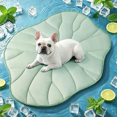 Produktbild von Dog Cooling Mat, Reversible, Self-Cooling, Arc-Chill Cooling Pad for Small and Medium Dogs and Cats, Was, Portable for Cage, Kennel, Sofa, Floors, Outdoor (Green, M (68 x 99 cm))