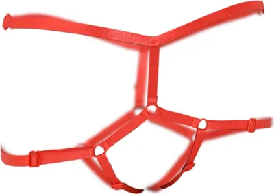 Produktbild von Lingerie G String Panties open